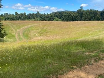 SE VENDE ESPECTACULAR PARCELA A 17 KM DEL CENTRO DE VALDIVIA