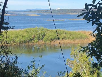 SE VENDE ESPECTACULAR PARCELA A 17 KM DEL CENTRO DE VALDIVIA