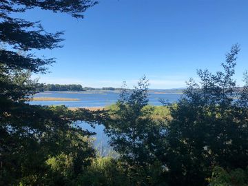 SE VENDE ESPECTACULAR PARCELA A 17 KM DEL CENTRO DE VALDIVIA