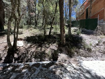 Tu Refugio Está Aquí – Bienvenido a Las Flores
