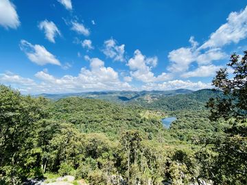 Tu Refugio Está Aquí – Bienvenido a Las Flores