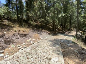 Tu Refugio Está Aquí – Bienvenido a Las Flores