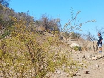 OPORTUNIDAD terreno en Lampa