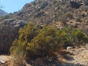 OPORTUNIDAD terreno en Lampa