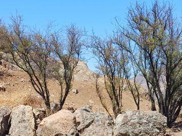 OPORTUNIDAD terreno en Lampa