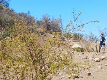 OPORTUNIDAD terreno en Lampa
