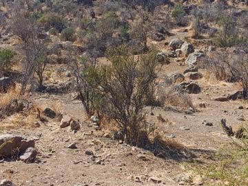 OPORTUNIDAD terreno en Lampa