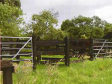 ¡EXCELENTE OPORTUNIDAD¡ HACIENDA CORSEGA