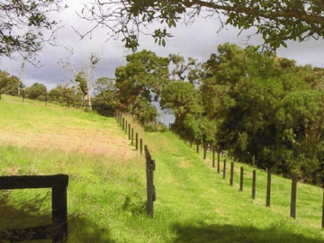 ¡EXCELENTE OPORTUNIDAD¡ HACIENDA CORSEGA