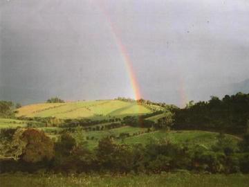 ¡EXCELENTE OPORTUNIDAD¡ HACIENDA CORSEGA