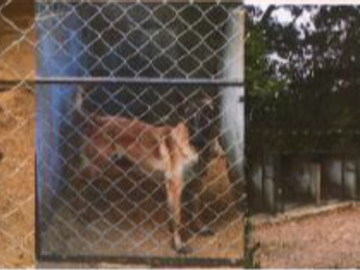 ¡EXCELENTE OPORTUNIDAD¡ HACIENDA CORSEGA