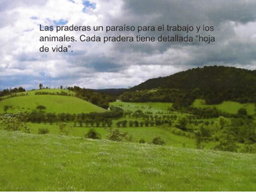 ¡EXCELENTE OPORTUNIDAD¡ HACIENDA CORSEGA