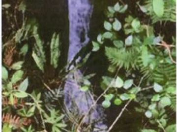 ¡EXCELENTE OPORTUNIDAD¡ HACIENDA CORSEGA