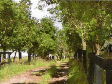 ¡EXCELENTE OPORTUNIDAD¡ HACIENDA CORSEGA