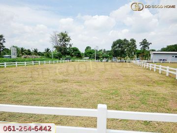 📢 Land for sale, 263.7 square wah in the allocation project Uncle Lem's farm, Wang Muang, Pak Chong 📍 🏝️