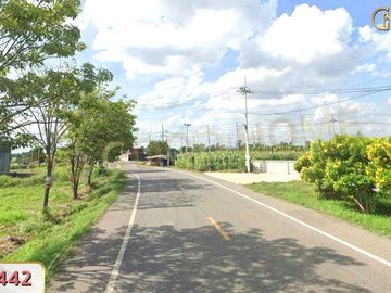 📢 Land for sale, 263.7 square wah in the allocation project Uncle Lem's farm, Wang Muang, Pak Chong 📍 🏝️