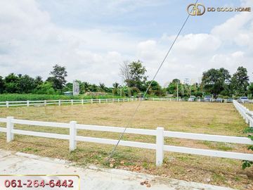 📢 Land for sale, 263.7 square wah in the allocation project Uncle Lem's farm, Wang Muang, Pak Chong 📍 🏝️