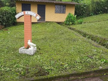 Pallatanga, Venta de Excelente Finca con Casa de Campo y Variada Plantación 1 Ha