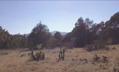 Terreno Plano a 200 m. de Carretera, Pueblo Mágico, Huasca de Ocampo, Hidalgo.