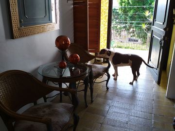 Casa sola de 4 recamaras con alberca  en Burgos Cuernavaca, Temixco, Mor.