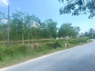 29 Rai in prime location for sale close to the airport in Thalang,Phuket