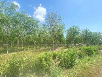 29 Rai in prime location for sale close to the airport in Thalang,Phuket