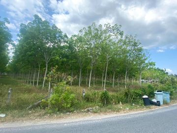 29 Rai in prime location for sale close to the airport in Thalang,Phuket