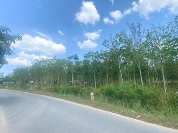29 Rai in prime location for sale close to the airport in Thalang,Phuket