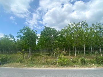 29 Rai in prime location for sale close to the airport in Thalang,Phuket