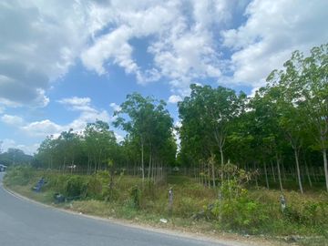 29 Rai in prime location for sale close to the airport in Thalang,Phuket