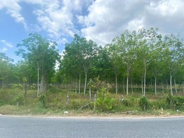 29 Rai in prime location for sale close to the airport in Thalang,Phuket