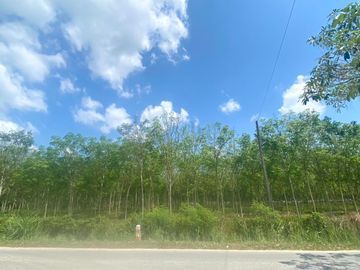 29 Rai in prime location for sale close to the airport in Thalang,Phuket