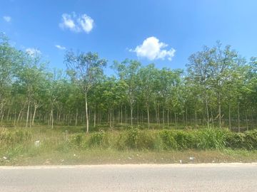 29 Rai in prime location for sale close to the airport in Thalang,Phuket