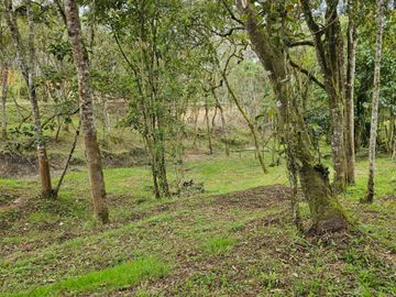 Venta Lote en Santa Elena Antioquia