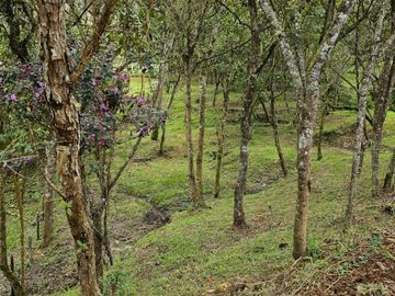 Venta Lote en Santa Elena Antioquia
