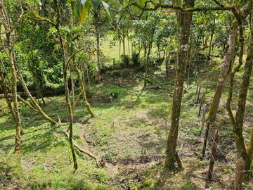 Venta Lote en Santa Elena Antioquia