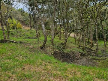 Venta Lote en Santa Elena Antioquia