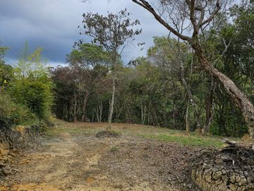 Venta Lote en Santa Elena Antioquia