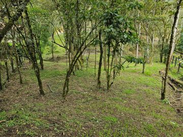 Venta Lote en Santa Elena Antioquia
