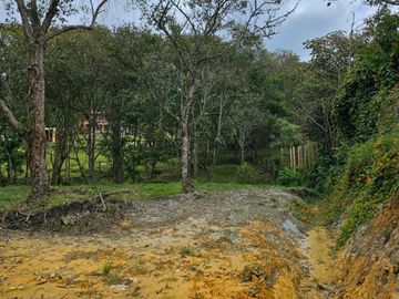 Venta Lote en Santa Elena Antioquia