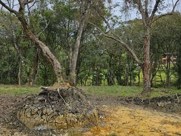Venta Lote en Santa Elena Antioquia