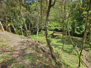 Venta Lote en Santa Elena Antioquia