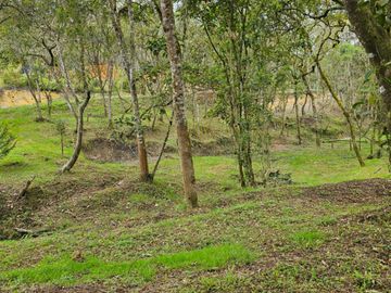Venta Lote en Santa Elena Antioquia