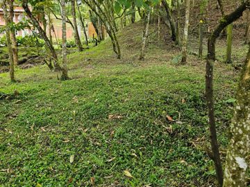 Venta Lote en Santa Elena Antioquia