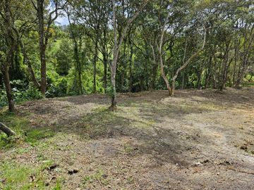 Venta Lote en Santa Elena Antioquia