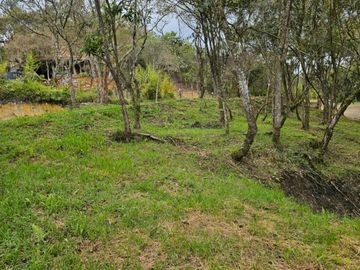 Venta Lote en Santa Elena Antioquia