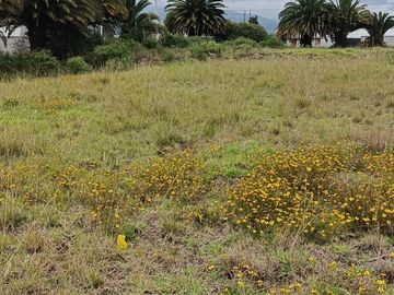 TERRENO ESQUINERO EN VENTA EN QUILLÁN LOMA, AMBATO