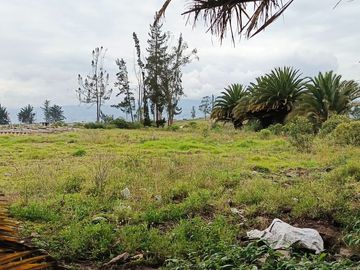 TERRENO ESQUINERO EN VENTA EN QUILLÁN LOMA, AMBATO