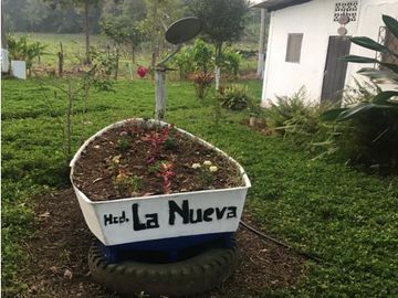 Venta de hacienda de 100 hectáreas con 30 hectáreas de teca sembradas en Balzar