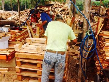Venta de hacienda de 100 hectáreas con 30 hectáreas de teca sembradas en Balzar
